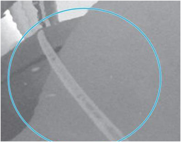 1602913766842475.png 圖片.png