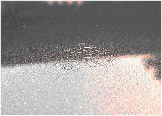 1603856217952168.png 圖片.png