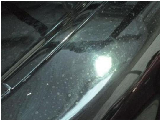 1603856787573412.png 圖片.png